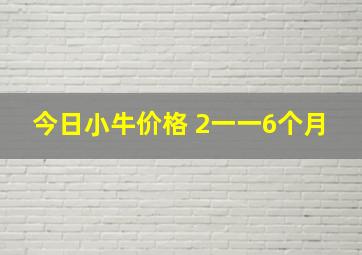 今日小牛价格 2一一6个月